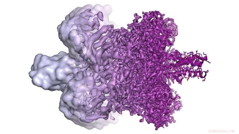 Revolutionizing Life Sciences: Cryo-EM Reveals Atomic-Scale Insights into Therapeutic Molecules