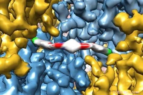 Revolutionizing Life Sciences: Cryo-EM Reveals Atomic-Scale Insights into Therapeutic Molecules
