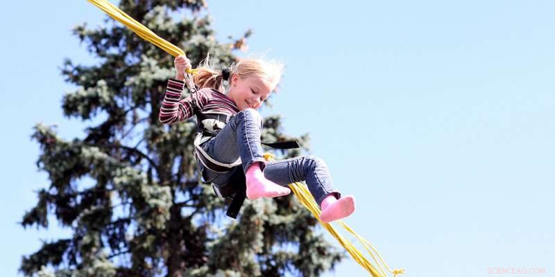 Risk Tolerance: Understanding the Personality Trait of Willingness to Take Risks