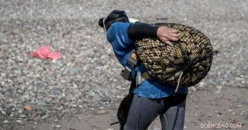 Chile Urges Conservation of Beloved Macha Clams