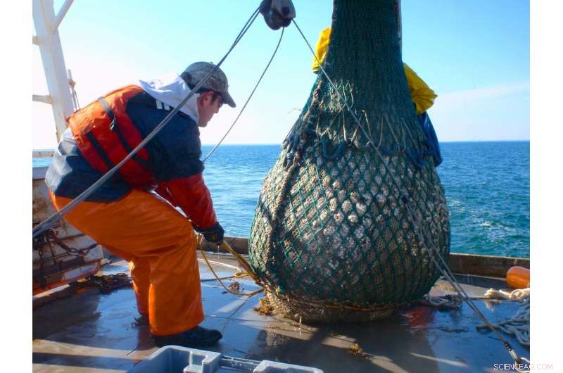 Innovative Marine Study Enhances Resource Management Toolkit