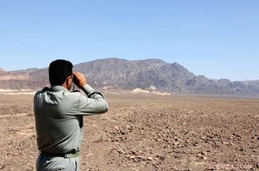 Iran Launches Campaign to Preserve the World s Last Asiatic Cheetahs