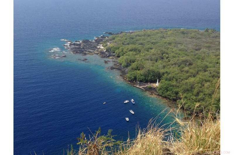 Tsunami Uncovers Elevated Human Noise Pollution in Hawaiian Waters