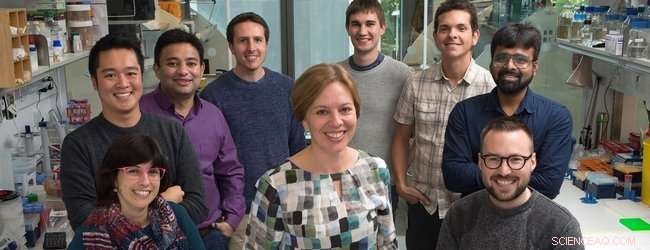 Scientists Reveal 3D Structure of Gene-Expression Protein CPF via Cryo-EM