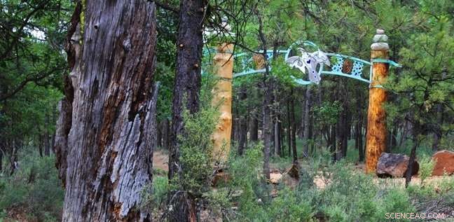 Beyond the Grave: How Conservationists Aim to Save Endangered Species