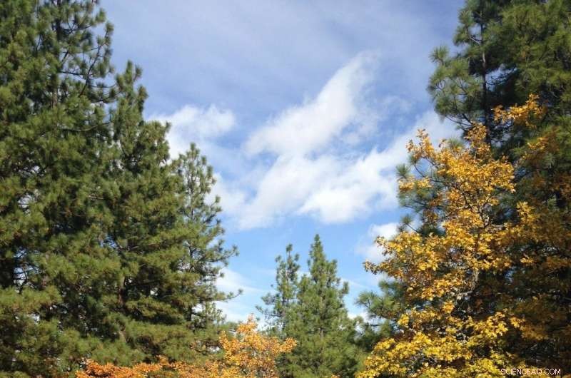 Beyond the Grave: How Conservationists Aim to Save Endangered Species