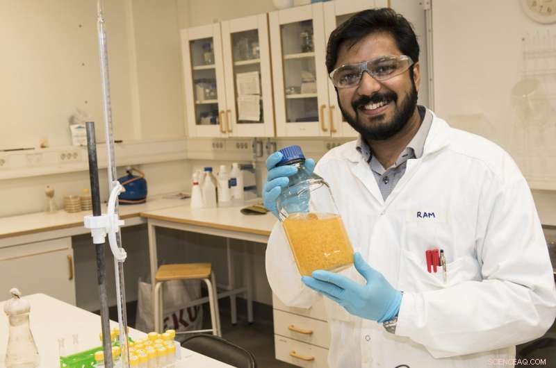 Revolutionary Technique Transforms Waste into Bioethanol in Existing Production Facilities
