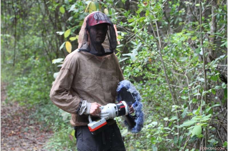 Burmese Pythons Drive Mammal Decline in the Florida Everglades