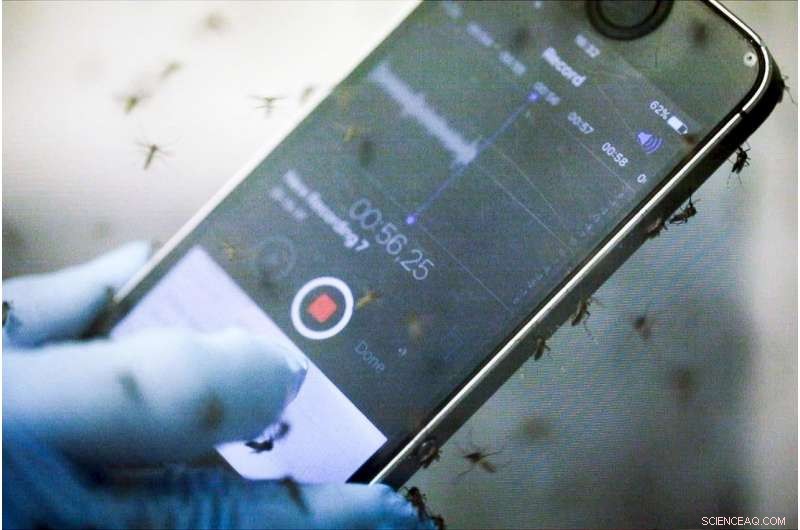 Call for Citizen Scientists: Help Track Mosquito Populations Worldwide