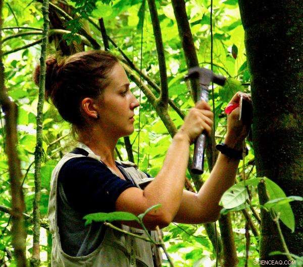 Why Lemurs Thrive on Madagascar’s Unusual Fruits: A Look at Their Unique Diet