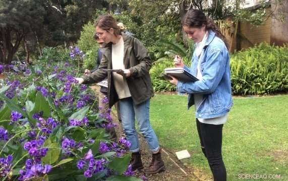 Boosting Undergraduate Biology: Citizen Science Drives Engagement and Insight