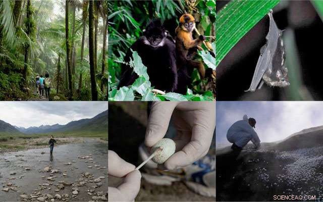 Earth Microbiome Project: Mapping Microbial Life Across All Environments