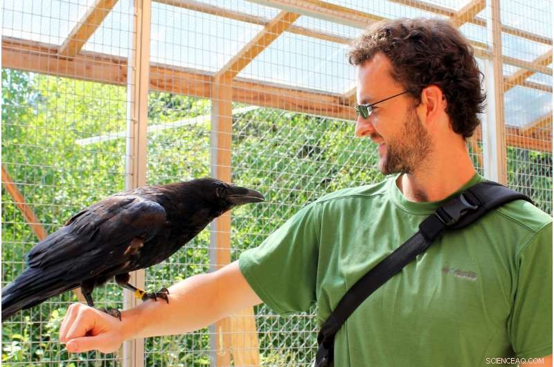 Can Animals Think Rationally? New Research Shows Language Isn t Needed for Smart Decision-Making