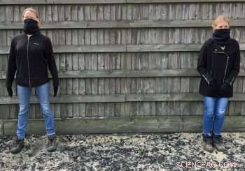 New Study Reveals Horses Detect Human Body Language, Even to Strangers