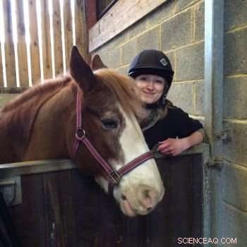New Study Reveals Horses Detect Human Body Language, Even to Strangers