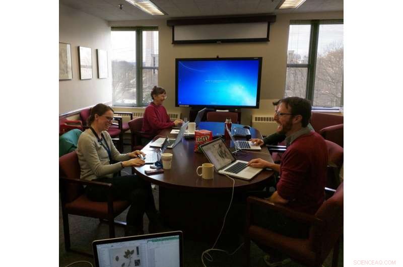 Harnessing Artificial Neural Networks to Revolutionize Natural History Collection Curation