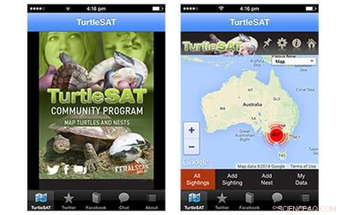 November Weather Challenges River Turtles in Western Sydney