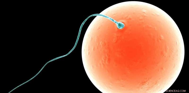 Mitochondria Pass Primarily Through Mothers: New Theory Links to Early Sexual Conflict