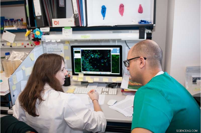 CSIC Researchers Develop Novel Molecules to Overcome Antibiotic Resistance