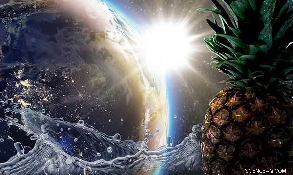 Texas A&M Breakthrough: Circadian Clock Enhances Water Efficiency in Food Crops