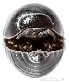 Why You Should Avoid Spraying Insects in Your Garden: 5 Key Reasons