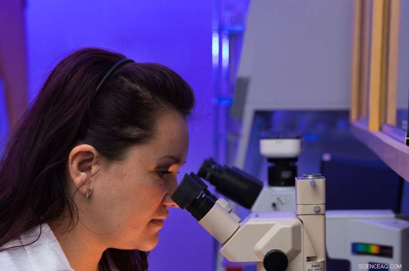 Diagnosing Pathogens Behind Soybean Stem Canker