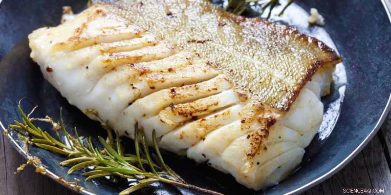 Frozen Cod vs Fresh: Does Freezing Preserve Quality?