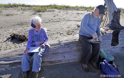 Volunteer Teams Patrol West Coast Beaches to Track Dead Seabirds and Gather Critical Data