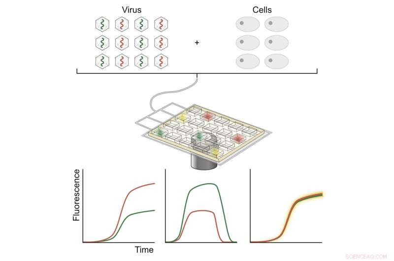 Targeting the Most Virulent Strains: New Antiviral Drug Selectively Eliminates Aggressive Viruses