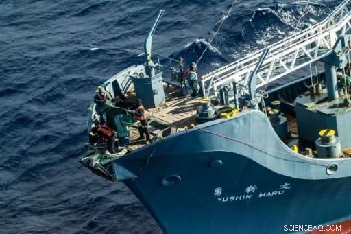 Japanese Whaling Fleet Embarks on Antarctic Expedition Amid Controversy