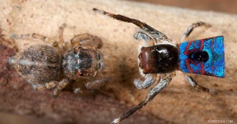 Genes Don’t Always Dictate Boys Are Boys: A Biological Perspective