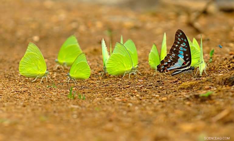 Genes Don’t Always Dictate Boys Are Boys: A Biological Perspective