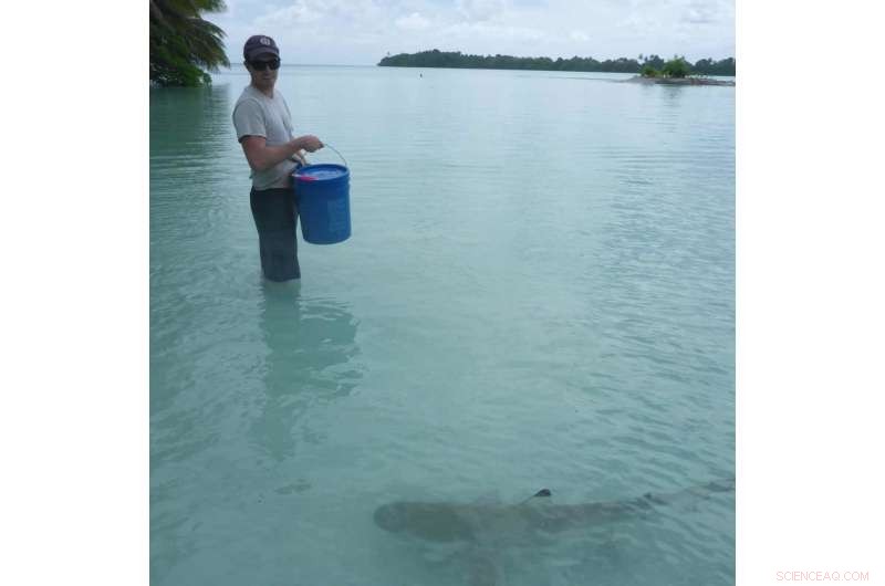 Ocean Monuments at Risk: Possible Loss of Protection