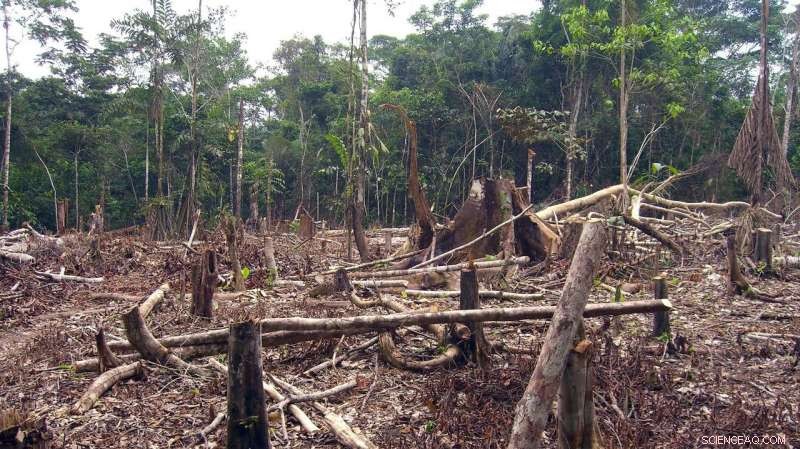 Colombia: Unlocking a Megadiverse Paradise Still Awaiting Discovery