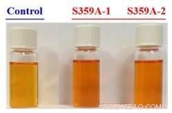 Scientists Engineer Tomatoes with Superior Antioxidant Levels