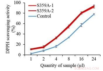 Scientists Engineer Tomatoes with Superior Antioxidant Levels