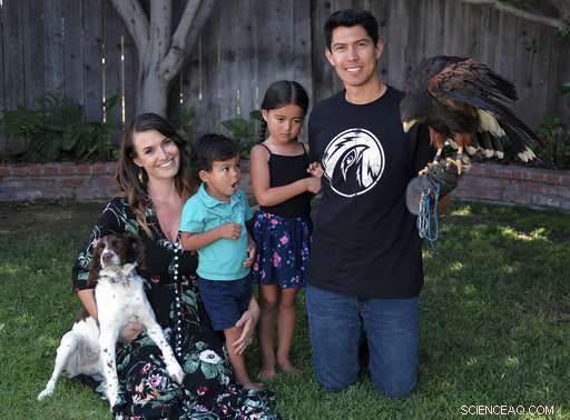Expert-Held Hawks Ward Off Smaller Birds, Captivate onlookers in Los Angeles