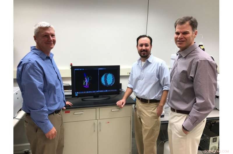 Study Reveals Predictive Model to Boost Good Cholesterol, Paving Way for Heart‑Healthy Strategies