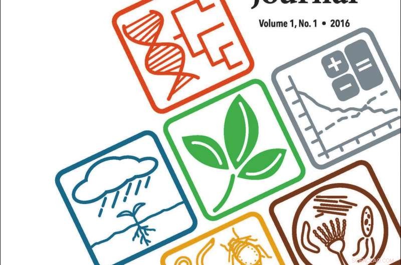 New Study Reveals Sunlight Reduces Fungal Disease in Mango Fruits