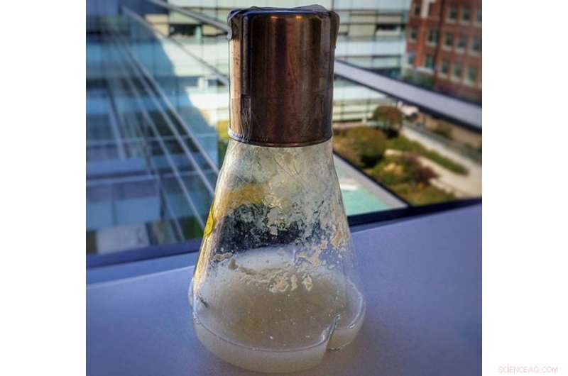 Discovering Novel Biofuel Enzymes Through Microbial Community Engineering