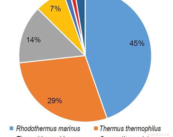 Discovering Novel Biofuel Enzymes Through Microbial Community Engineering