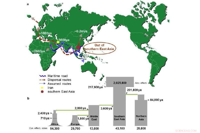 New Study Traces Brown Rat Origins: From Southeast Asia to Global Spread