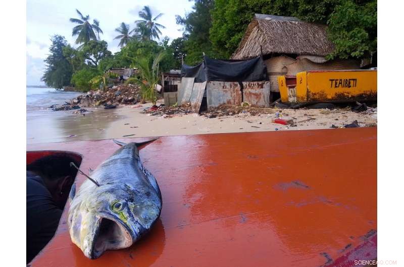 Climate Change Threatens 50–80% of Pacific Island Fisheries by 2100
