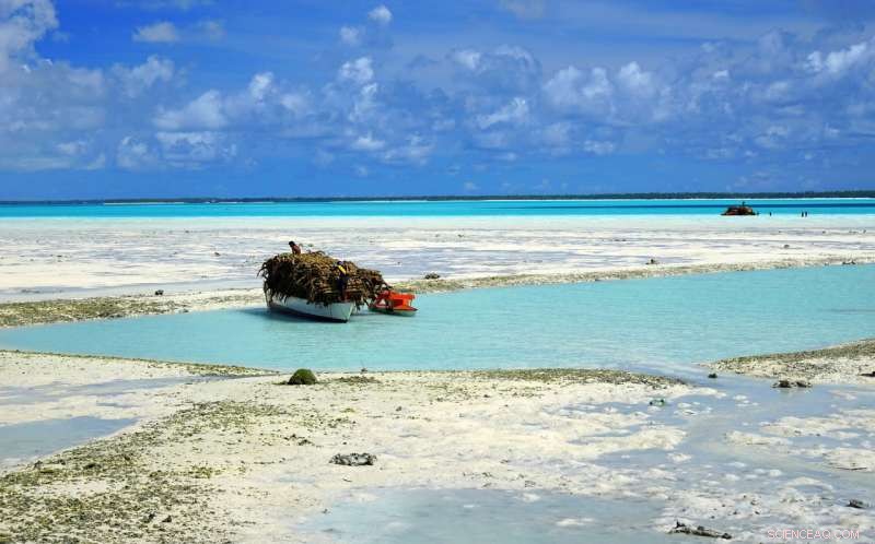 Climate Change Threatens 50–80% of Pacific Island Fisheries by 2100
