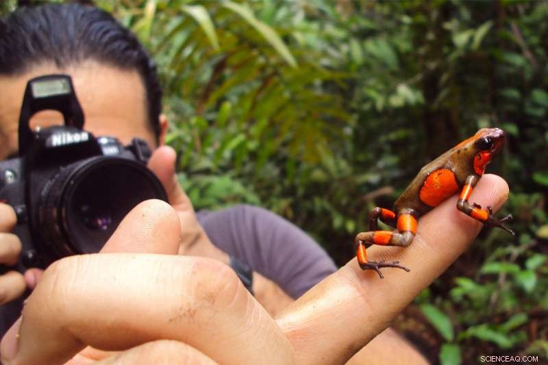 Revolutionary Frog Gene Discovered: A Natural Defense Against Predators