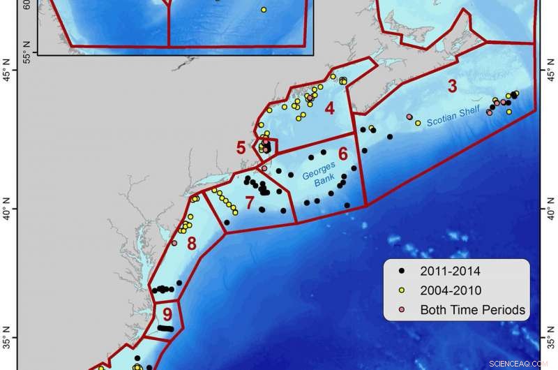 Tracking North Atlantic Right Whale Movements Using Passive Acoustic Monitoring