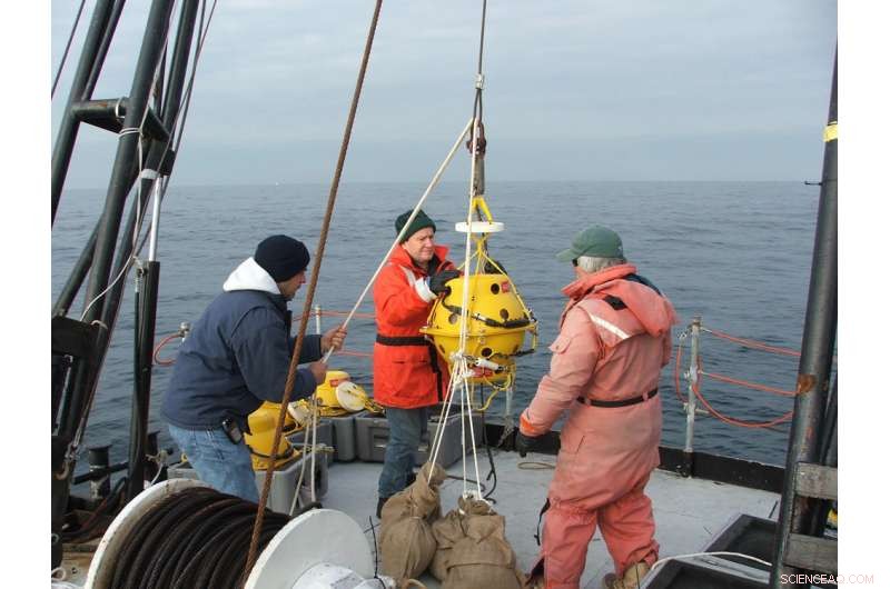 Tracking North Atlantic Right Whale Movements Using Passive Acoustic Monitoring