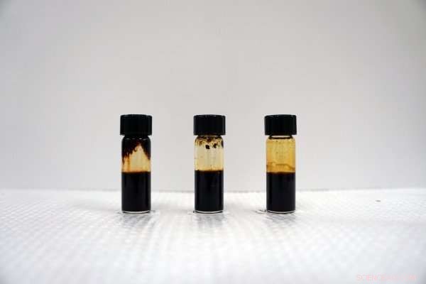 Petite Poplars: The Promising Future of Biofuels, According to Recent Studies