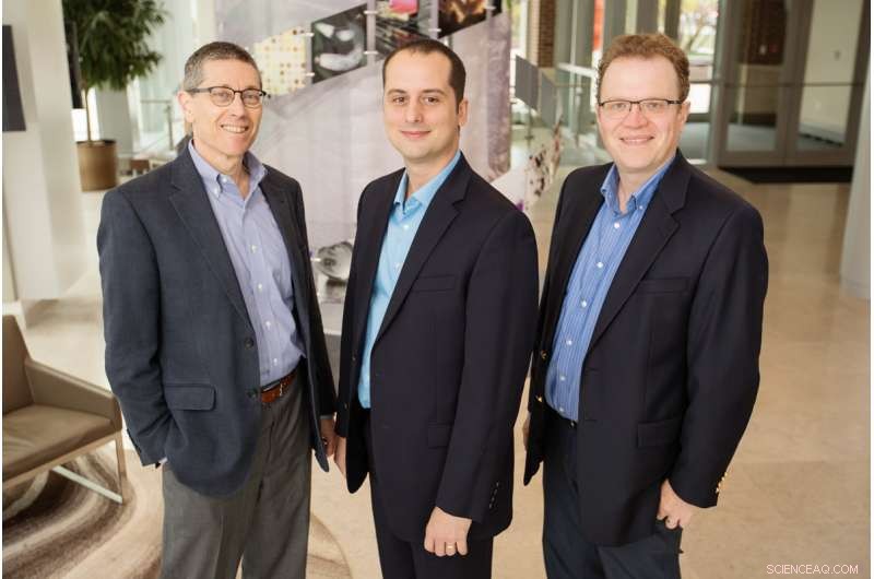 Genomic Study Reveals How Africanized Honey Bees Evolved Gentle Behavior in Puerto Rico