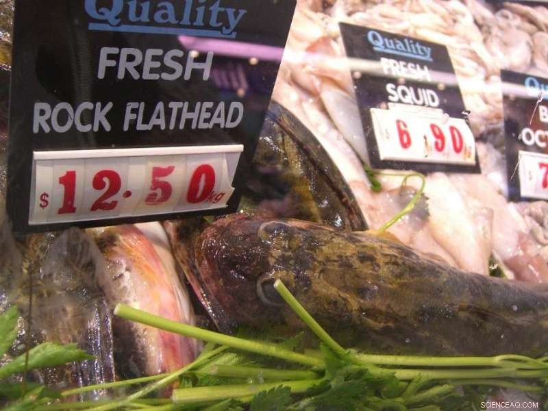 Data Modeling Drives Sustainable Fisheries Management